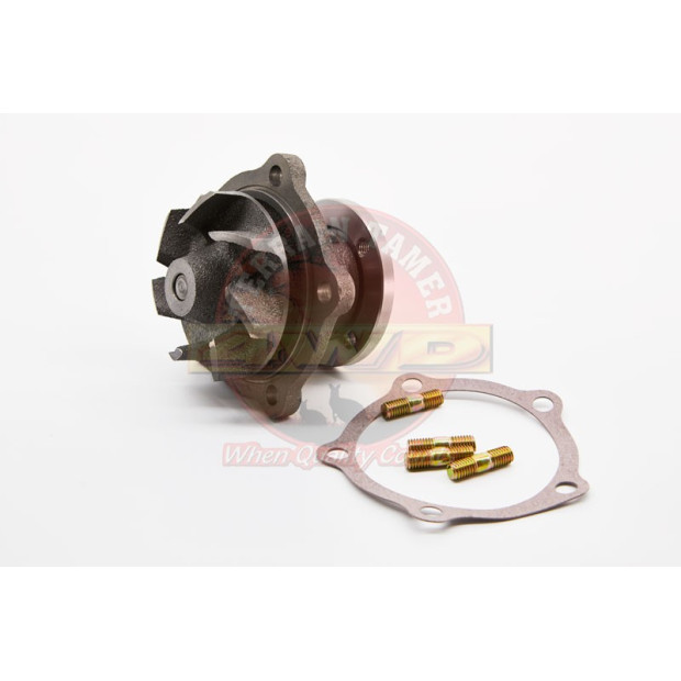 Pompe à eau TERRAIN TAMER 16120-69015          