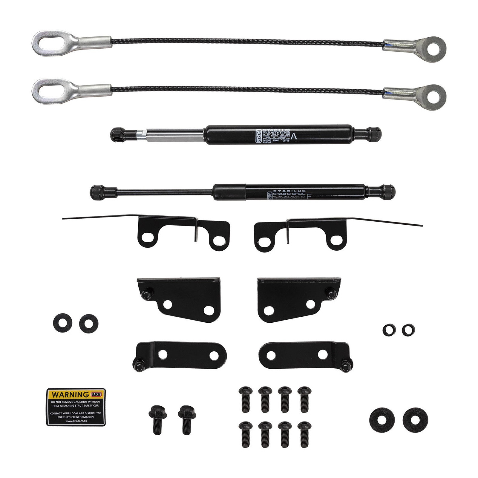 TAILGATE ASSIST SYSTEM 