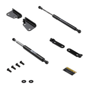 TAILGATE ASSIST SYSTEM 