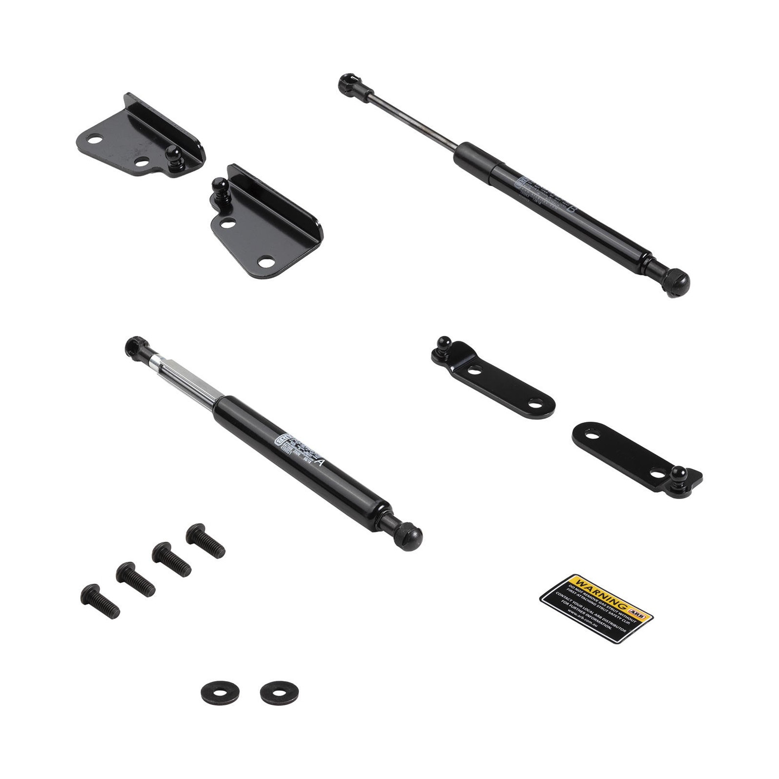 TAILGATE ASSIST SYSTEM 