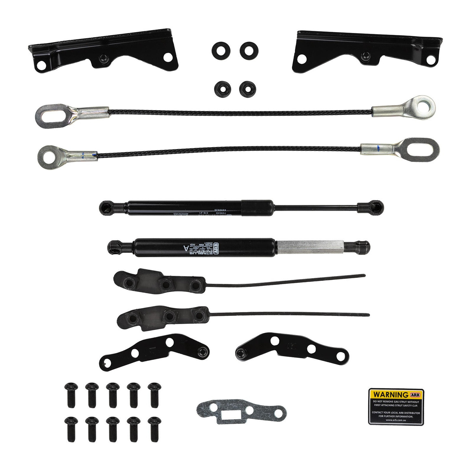TAILGATE ASSIST SYSTEM 