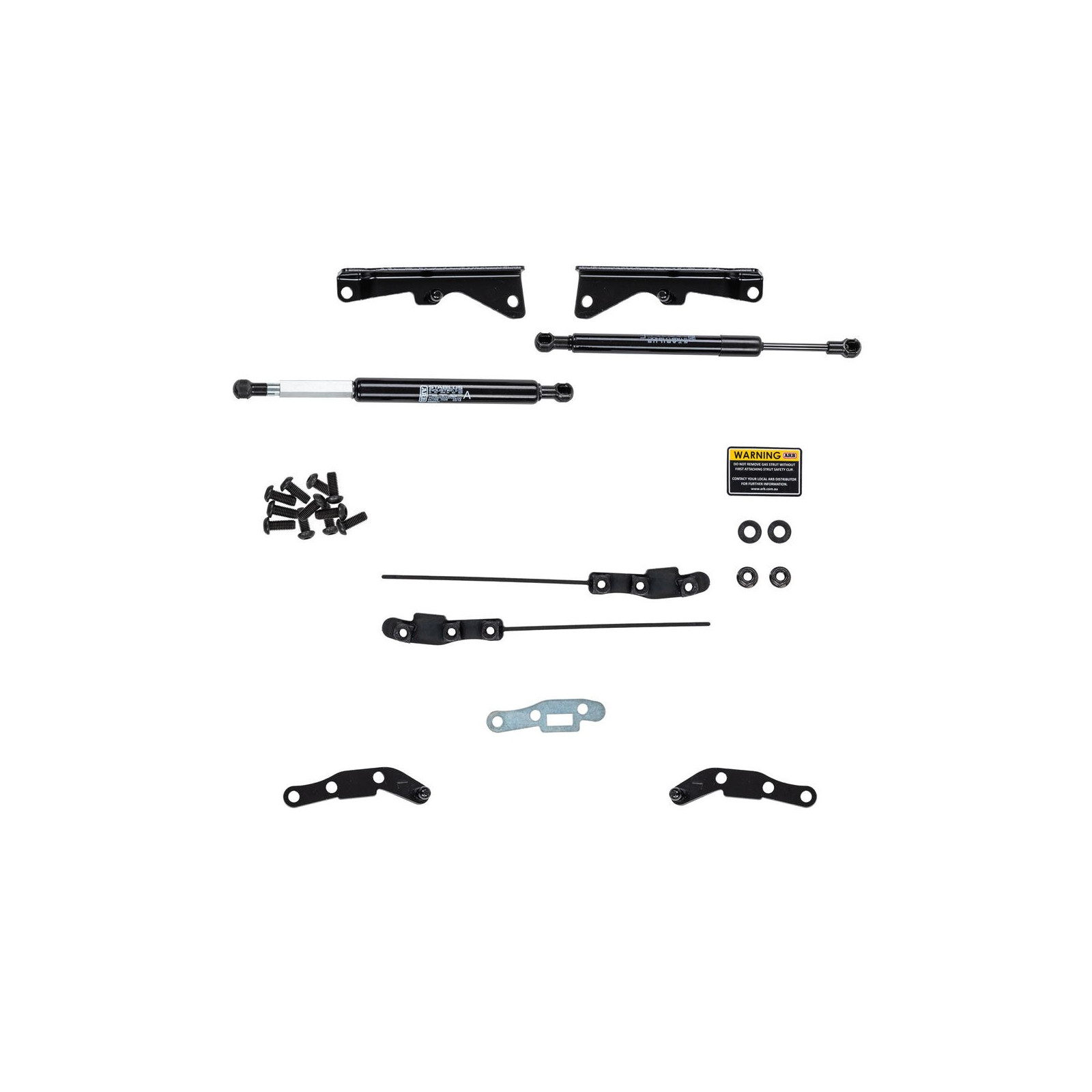 TAILGATE ASSIST SYSTEM 