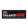 TAILGATE ASSIST SYSTEM 