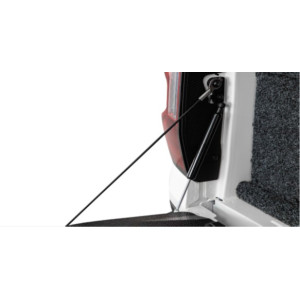 TAILGATE ASSIST SYSTEM 