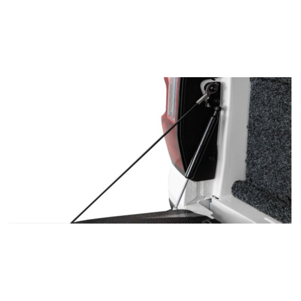 TAILGATE ASSIST SYSTEM 
