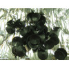 Kit isolation de vitres Toyota KZJ95 KDJ95