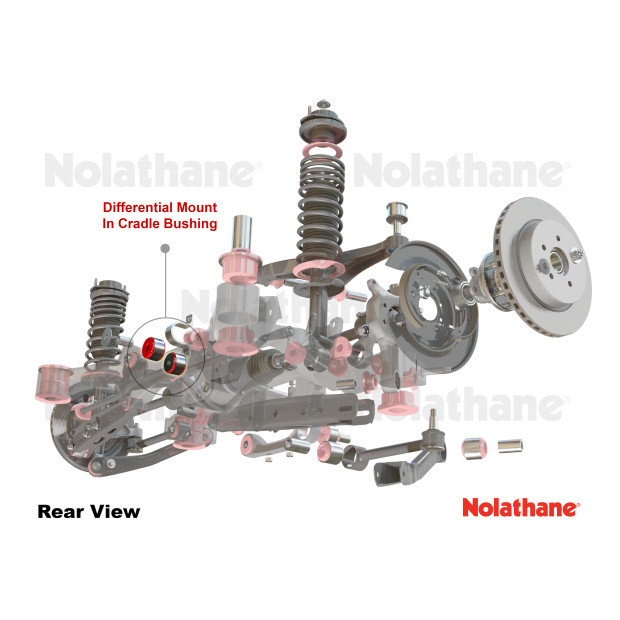 Differential - mount rear bushing