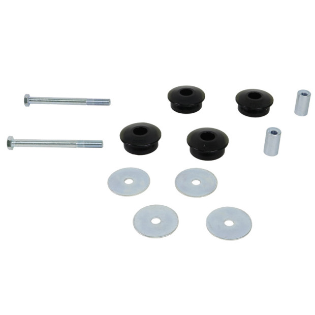 Differential - mount support outrigger bushing