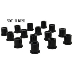 Spring - eye front & shackle bushing UNIT