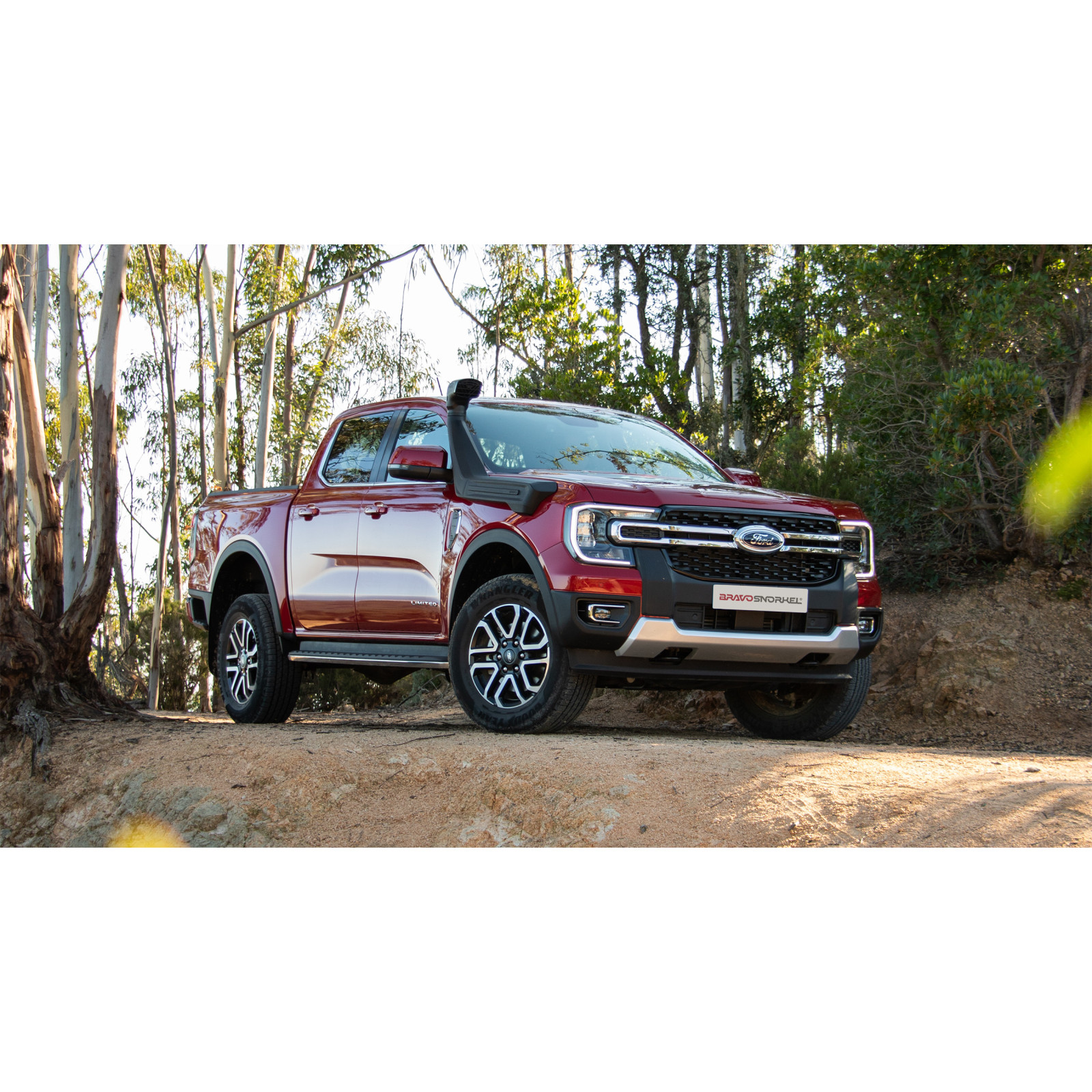 Snorkels BRAVO SNORKEL SFRG