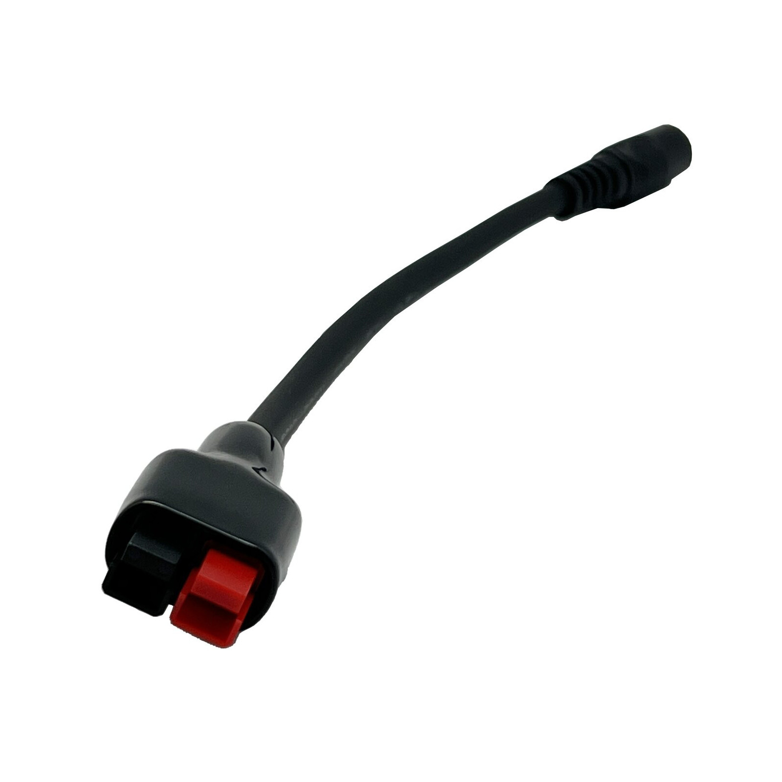 SUNROAD EZA 418266