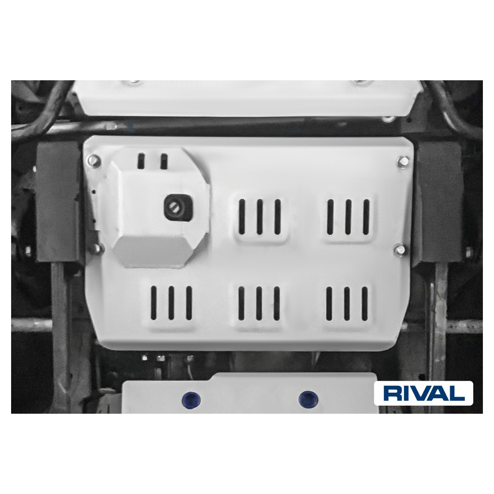 Protection de différentiel avant RIVAL 2333.5528.1.6 