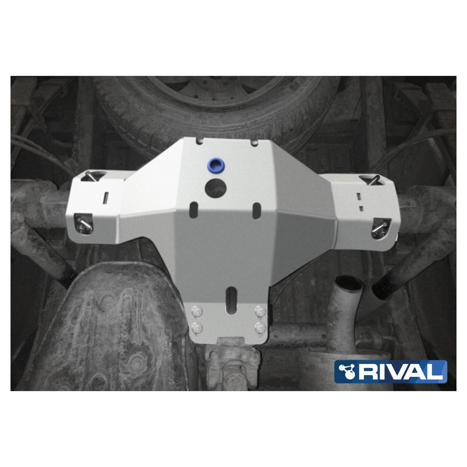 Protection de différentiel arrière RIVAL 2333.5876.1.6 