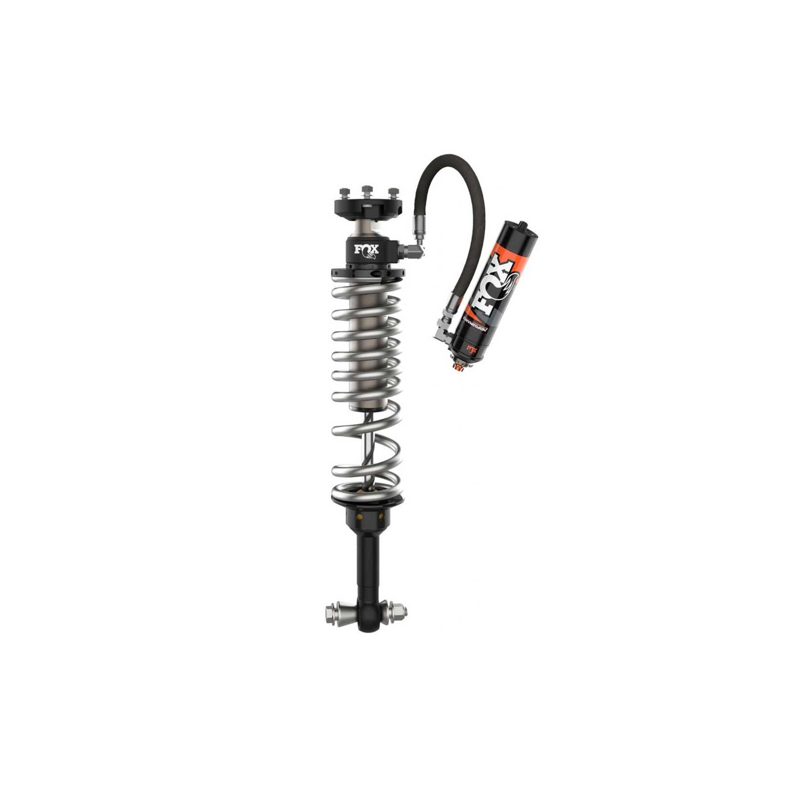 FOX 883-06-210 
