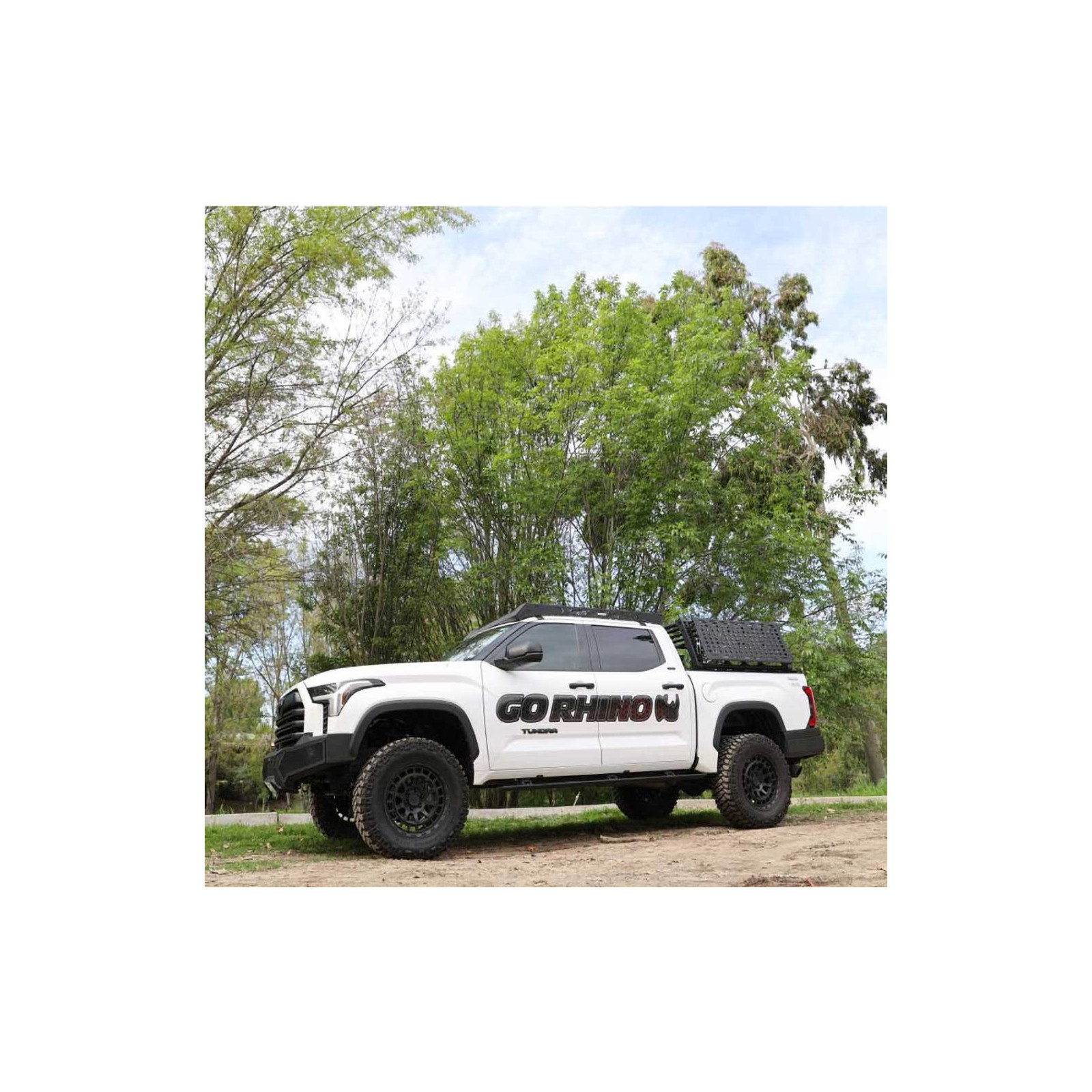 GO RHINO 5952000T 