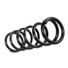 BDS SUSPENSION 034302 
