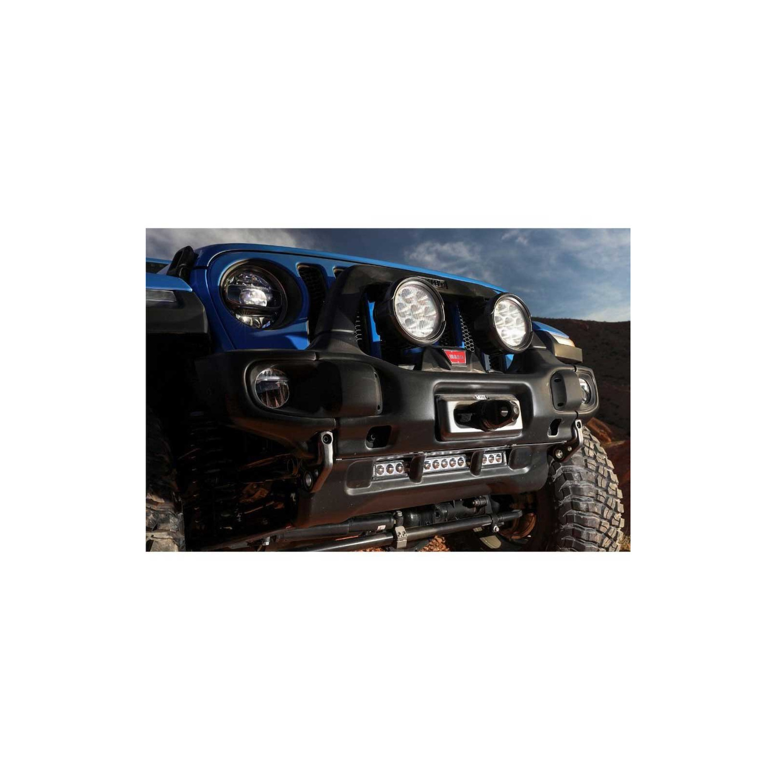 AEV 12301091AA 